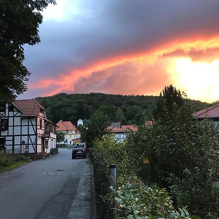 Ferienwohnung-Willgeroth Ilsenburg Exteriér fotografie