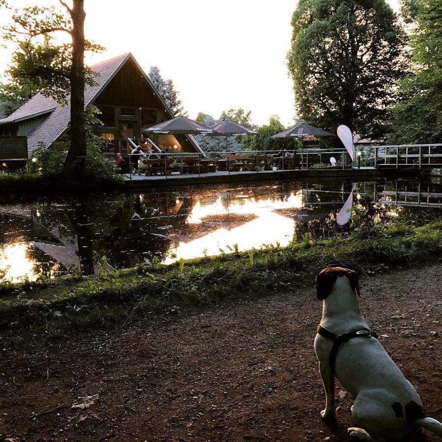 Ferienwohnung-Willgeroth Ilsenburg Exteriér fotografie