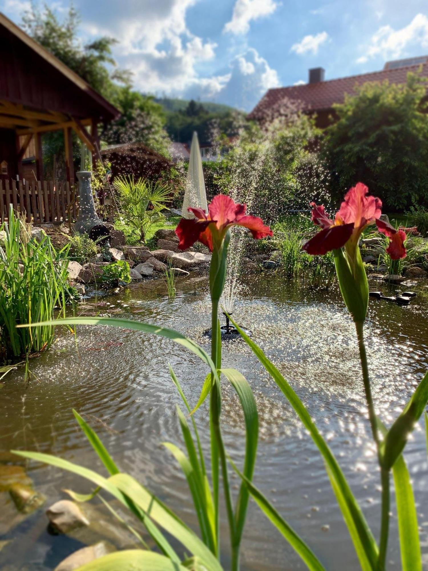 Ferienwohnung-Willgeroth Ilsenburg Exteriér fotografie